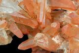 Natural, Red Quartz Crystal Cluster - Morocco #128061-2